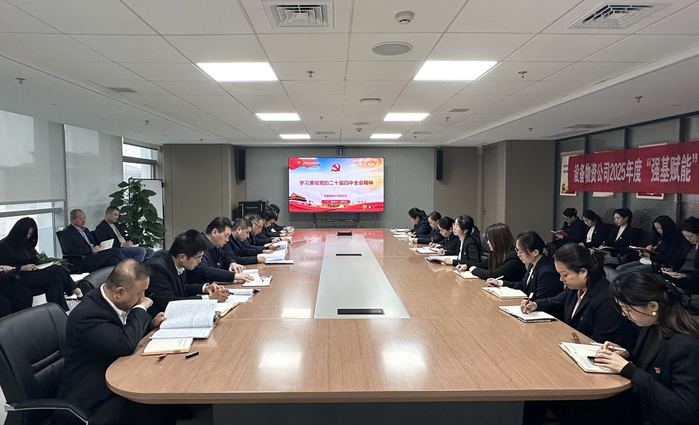 装备物资公司党总支学习贯彻党的二十届四中全会精神