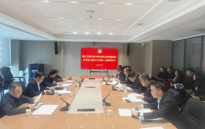 三公司/中东北非公司党委深入学习贯彻党的二十届四中全会精神